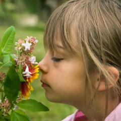 Отель Familienhotel Viktoria Монклассико спа