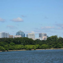 Отель Courtyard Arlington Rosslyn пляж