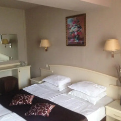Detelina Hotel комната для гостей фото 4