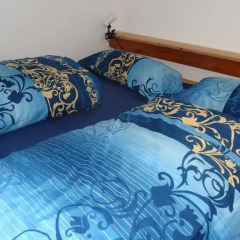 Отель Private Gästezimmer bei Ila Zimmerling Германия, Дрезден - отзывы, цены и фото номеров - забронировать отель Private Gästezimmer bei Ila Zimmerling онлайн комната для гостей фото 3