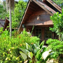 Отель The Krabi Forest Homestay 2* Стандартный номер с различными типами кроватей фото 21