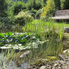 Отель Garni Weghueb Парчинес фото 11