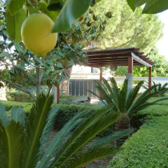 Отель Villa Alfano Поццалло фото 3