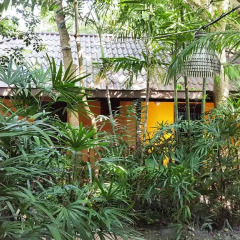 Отель Birds & Bees Resort 3* Стандартный номер с 2 отдельными кроватями фото 4