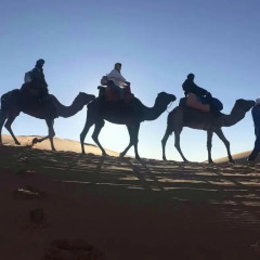 Отель Desert Camel Camp Марокко, Мерзуга - отзывы, цены и фото номеров - забронировать отель Desert Camel Camp онлайн фитнесс-зал