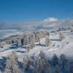Отель Chalet Tschoueilles 4 Star 4* Шале фото 2