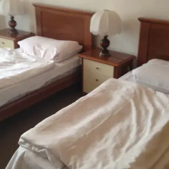 Hotel CD Garni Пльзень комната для гостей фото 8