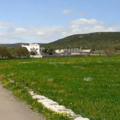 Отель Masseria Pilano Италия, Криспьяно - отзывы, цены и фото номеров - забронировать отель Masseria Pilano онлайн фото 6