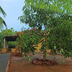 Отель Heina Nature Resort & Yala Safari 2* Шале с различными типами кроватей фото 49