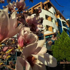 Medite Resort Spa Hotel Сандански питание