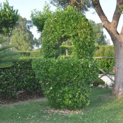 Отель Bed and Breakfast Giardini di Marzo Лечче фото 11