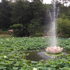 Ulsan Hotel