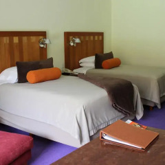 Отель Camino Real Polanco Mexico 4* Стандартный номер с разными типами кроватей