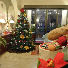 Hotel Assisi фото 2