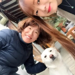 Отель HanOK Guest House 202 с домашними животными