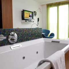 Avalon Hotel 4* Стандартный номер с различными типами кроватей фото 4