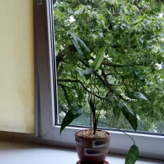 Отель Minsk Flat Fortourist Минск балкон