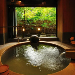 Отель Yamabiko Ryokan Минамиогуни спа