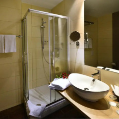 Santé Royale Hotel- & Gesundheitsresort Warmbad Wolkenstein 4* Стандартный номер с различными типами кроватей