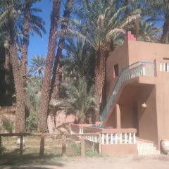 Отель Riad Soleil du Monde Марокко, Загора - отзывы, цены и фото номеров - забронировать отель Riad Soleil du Monde онлайн фото 7