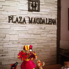 Plaza Magdalena Hotel сауна