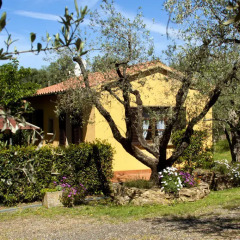 Отель Agriturismo Cerroni Montescudaio Монтескудаио фото 9