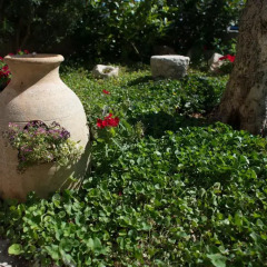 Отель Grandi Trulli Bed & Breakfast Альберобелло фото 5