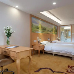 Отель GreenTree Inn Guangdong Shenzhen Dongmen Business Hotel Китай, Шэньчжэнь - отзывы, цены и фото номеров - забронировать отель GreenTree Inn Guangdong Shenzhen Dongmen Business Hotel онлайн комната для гостей фото 4