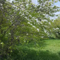 Отель Park Кыргызстан, Каракол - отзывы, цены и фото номеров - забронировать отель Park онлайн фото 5