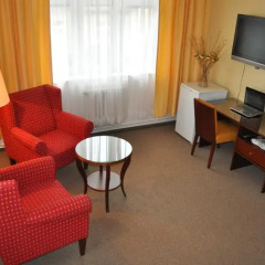 Hotel Svornost 3* Люкс с различными типами кроватей фото 19