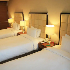 Ramada Hotel And Suites Seoul Namdaemun 4* Номер Делюкс фото 5