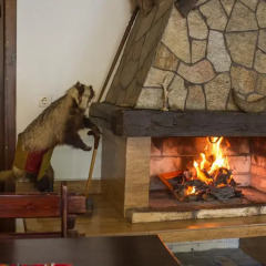 Отель Hera Guest House интерьер отеля
