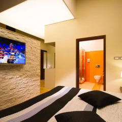 Centrum Dikul Hotel 3* Номер Делюкс с разными типами кроватей фото 4