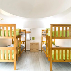 Alex Surf Hostel развлечения