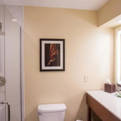 Отель Best Western Plus Inn Of Williams 2* Стандартный номер с различными типами кроватей