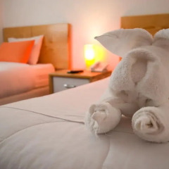 Hotel Waman 3* Стандартный номер с 2 отдельными кроватями