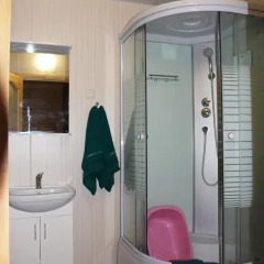 Гостиница Guest house Pine Forest ванная фото 2