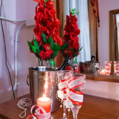 Гостиница Шансон 3* Люкс разные типы кроватей фото 18