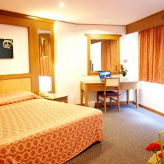 Royal Twins Palace Hotel 4* Номер Делюкс с разными типами кроватей фото 3