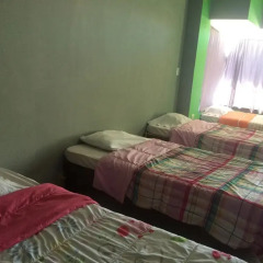 Baja's Cactus Hostel Стандартный номер с различными типами кроватей фото 2