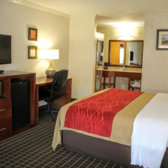 Отель Comfort Inn Near Old Town Pasadena удобства в номере