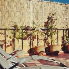 Отель Riad Casa Sophia 2* Стандартный номер с различными типами кроватей фото 10