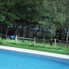 Отель Quinta Da Rabaçosa - Turismo Rural Кастро-Дайре бассейн