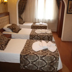 Big Apple Hostel & Hotel Номер Делюкс с различными типами кроватей фото 3