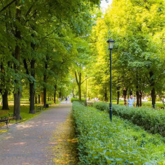 Отель Apartamenty WaWa