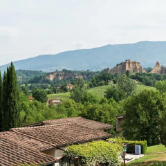Отель Villa il Cedro Реггелло фото 4