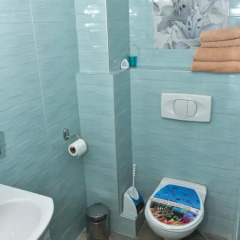 Апартаменты White Rose Apartments Номер Делюкс с разными типами кроватей фото 24