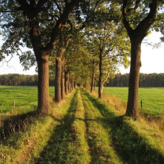 Отель Stal Zwartschaap