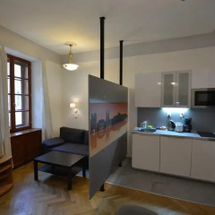 Апартаменты Karlova Prague Apartments Люкс с различными типами кроватей фото 7