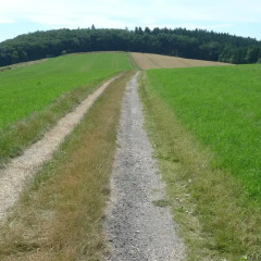 Отель Das Alte Forsthaus Гайзенхайм спортивное сооружение